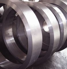 Stainless Steel 317 ring Manufacturer & Supplier in India
